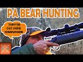 Black Bear Hunting How I Hunt The Mountains Of Pennsylvania