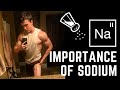 Sodium 101: Benefits, Dosing, Science Explained