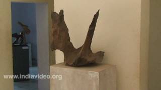 Prakriti Museum, Shantiniketan