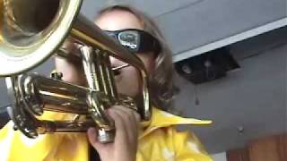 Short Skirt, Long Jacket - Cake