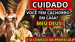 CHOCANTE: O Que o Arcanjo Rafael Revela sobre a Espiritualidade dos CACHORROS em Casa!