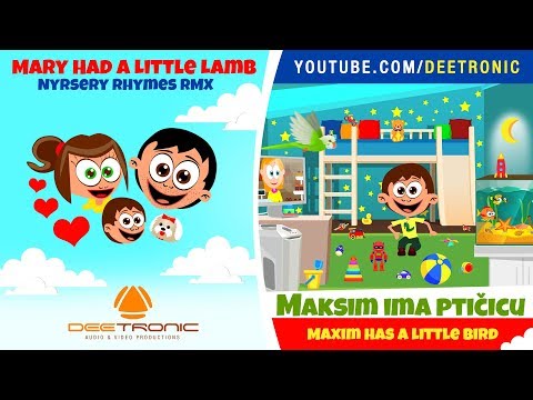 MAKSIM IMA PTICICU | Maxim Has a Little Bird | Nursery Rhyme Remix | Mary Had a Little Lamb RMX