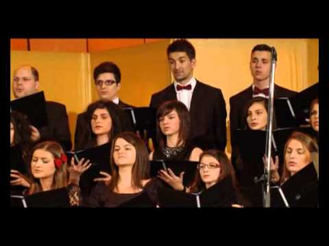 Amicus Timisoara   Trambiti sunati