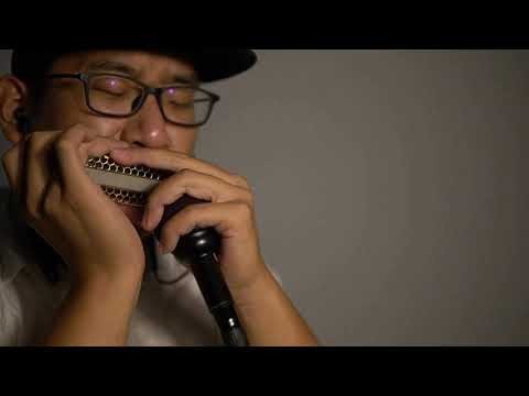 Chromatic Harmonica. Gypsy jazz Dark Eyes+Csardas【Oritta customized harmonica AD-14】口琴演奏查尔达什舞曲+黑眼睛