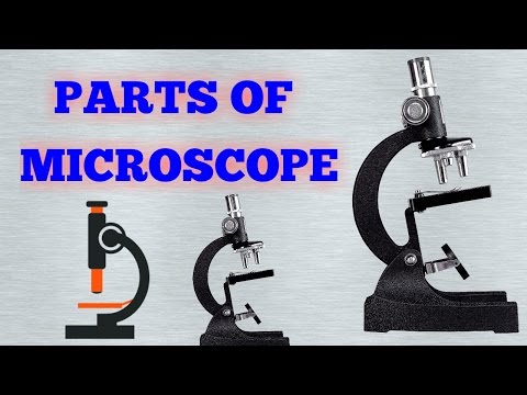 Parts of microscope