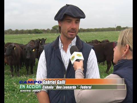 Gabriel Galli - Previa Remate Angus Entrerriano en Federal 2017
