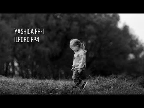 Yashica FR & Ilford FP4 | A Walk In The Park…