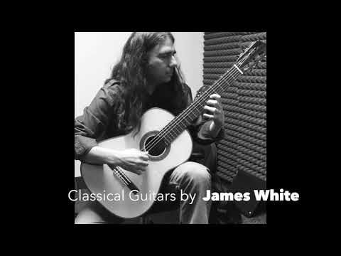 James White Guitars - "Anya" classical guitar video with Craig J. Green