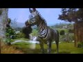 TALKING ZEBRA Wild Animal Park