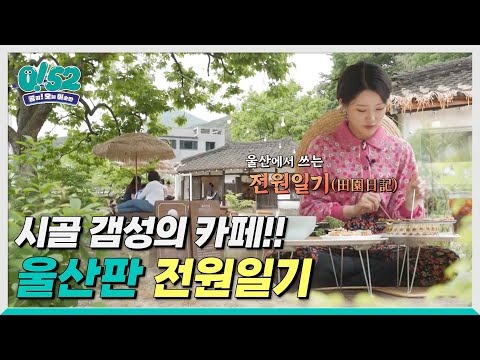 [생방송0!52] 울산에서 쓰는 전원일기