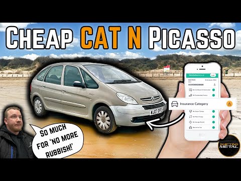 I Bought A Cheap WRITE OFF Picasso for just £200! Can I make a profit?