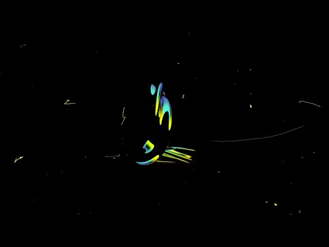 [FREE] Wit x Josman x Hamza Type Beat ' Madness ' Feat. Oboy | Prod. By Ian-98