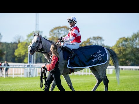 Stockholm Cup International | Join us in Sweden!