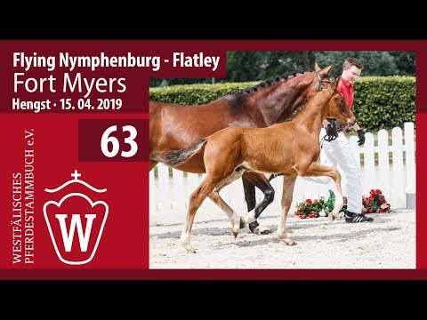 63 Fort Myers Hengst v. Flying Nymphenburg - Flatley