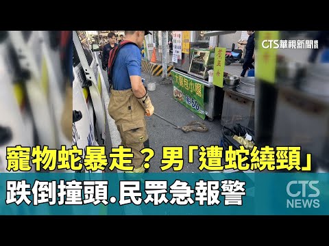 寵物蛇暴走？　男「遭蛇繞頸」跌倒撞頭.民眾急報警