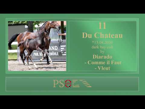 11 Du Chateau ENG by Diarado - Comme il Faut - Vleut