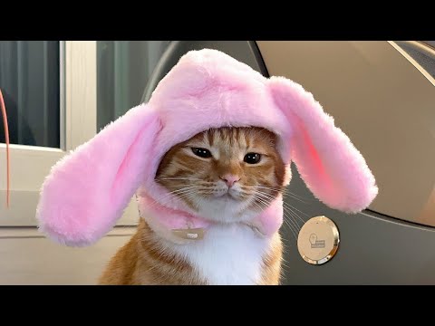 니가 먼저 귀여웠잖아