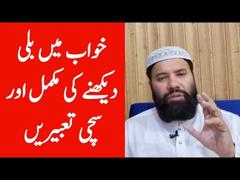 khwab mein billi dekhna | cat dream meaning | khwab mein Billi dekhne ki tabeer in urdu hindi