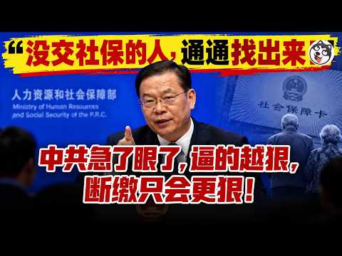 上海最低工资2740社保却要交2731！外卖层层转包法院判平台是雇主不到1%、社保补贴相当于中央赤字一半、领钱多1257万交钱少948万！最快明年年中社保就不够发、养老只能靠自己