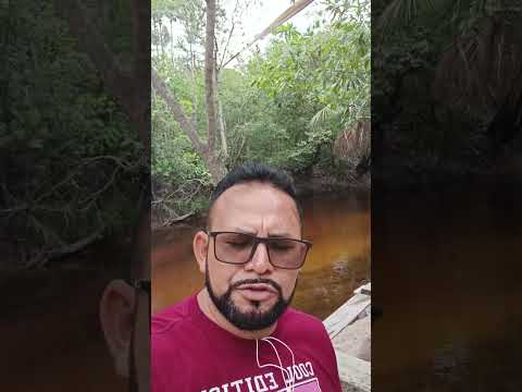 #povoado campinho Nina Rodrigues Maranhão 🇧🇷