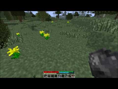 Terrafirmacraft Episode 2: Stone tools