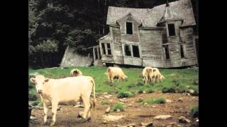 Zakk Wylde Pride and Glory - Dead As Yesterday