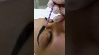 Eyebrows Permanent Makeup cosmetic tatoo by El Truchan @ Perfect Definition