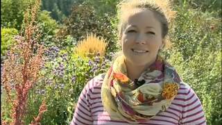 mmMonday: Nourish Café and Bistro