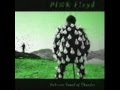 Time - Delicate sound of thunder - Pink floyd ...