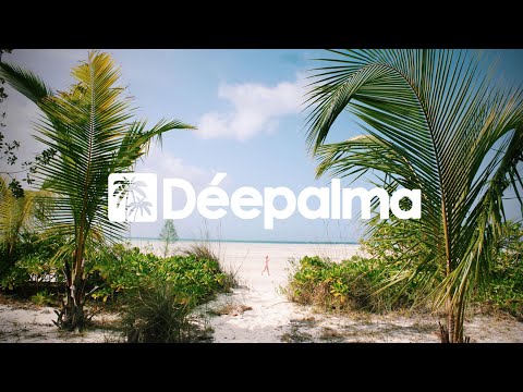 Dario D'Attis - Memories (Original Mix) [Déepalma Records]