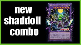 How does SHADDOLL look after next battles of legends support? Yugioh combo