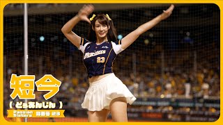 許基宏応援📣 短今（Sammie）Passion Sisters 中信兄弟啦啦隊  臺北大巨蛋 2024/9/21【台湾チアTV】