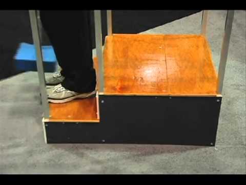 EZ-Step Cane | GoldViolin.com