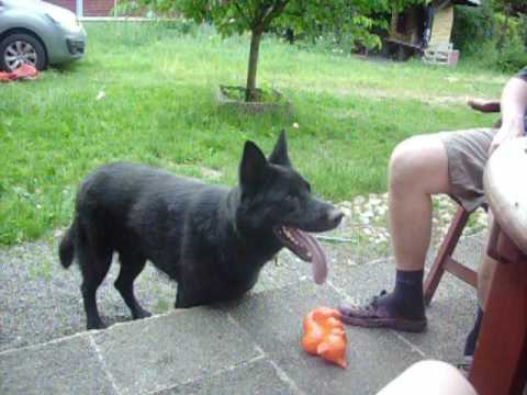 Tak už prosím kopej-Rocky červen 2017