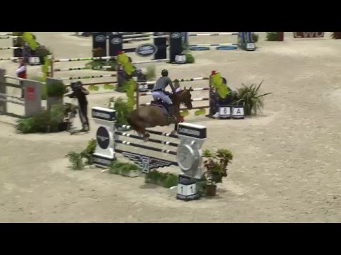 Rêveur de Hurtebise*HDC - CSI 5*-W Bordeaux - GP 160 (barrage - 1e) - Février 2016