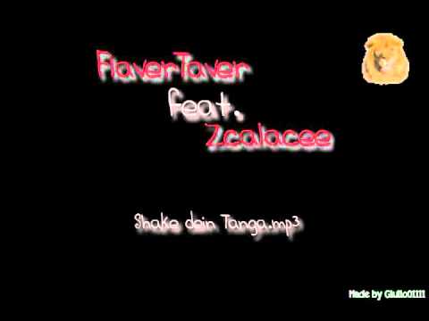 FlaverTaver  &. Zcalacee - Shake dein Tanga