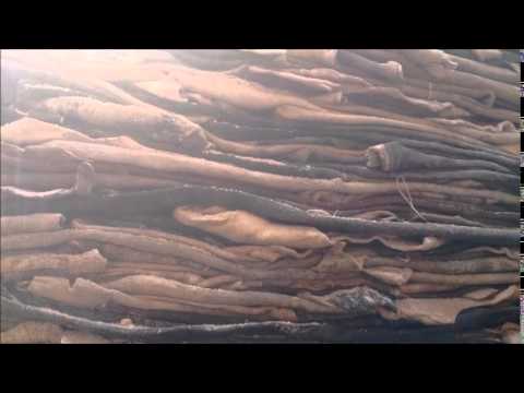 Curtiembres en el Barrio San Benito