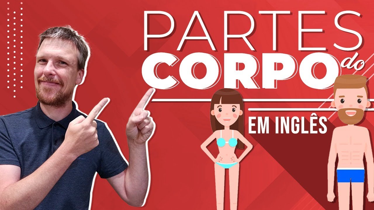 O Que é Anatomia Em Inglês