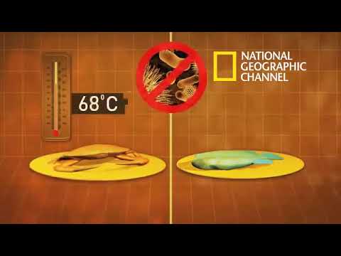 Mega Kitchen Tajsats