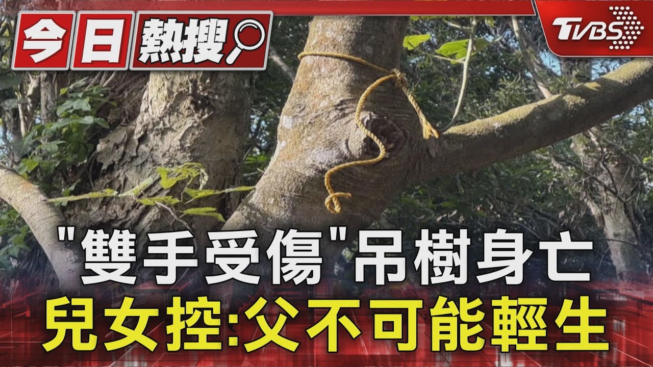 獨家影音/66歲父雙手傷「獨自爬高樹」上吊?車內包包被翻空 兒女怒喊有問題
