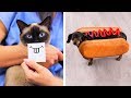 17 пранков и лайфхаков для животных 17 пранков и лайфхаков для животных