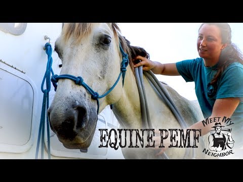 download lagu mp3 mp4 Magnetic Therapy For Horses, download lagu Magnetic Therapy For Horses gratis, unduh video klip Magnetic Therapy For Horses