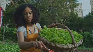 They Built Sustainable Cities First?! Africa’s Hidden Blueprint