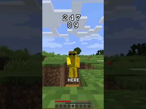 Beesechurger_73 - minecraft but if i say every number i lose AGAIN 😱 #shorts
