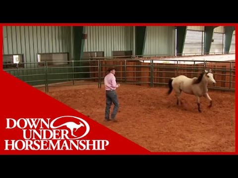 Clinton Anderson Presents: Second Chance For Sailor