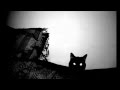 Ashera - Fellini's Cat 