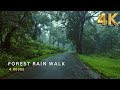 [4K ASMR] Peaceful Rain Walk in Forest Road | Relax Mind, Relieve Stress & Fall Asleep Fast DEFAULT Thumbnail