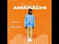 Prinx Emmanuel - Amarachi (lyrics video)