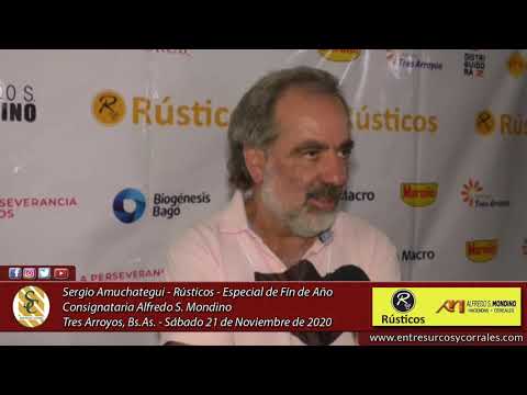 21-11-20 - Sergio Amuchategui - RUSTICOS - Consignataria Alfredo S. Mondino - Tres Arroyos, Bs.As.