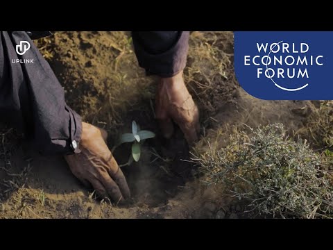 Pay 50 farmers to grow trees in Tanzania!
